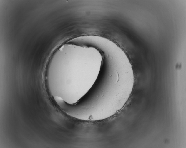 X0000103130146200808291323