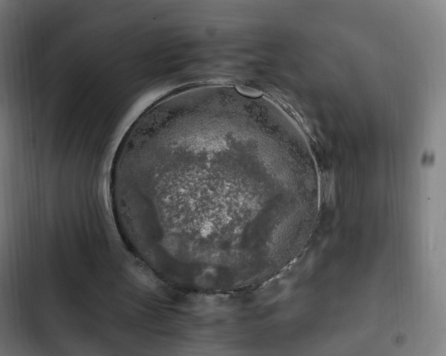 X0000103130147200808291323