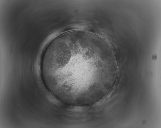 X0000103130149200808291323