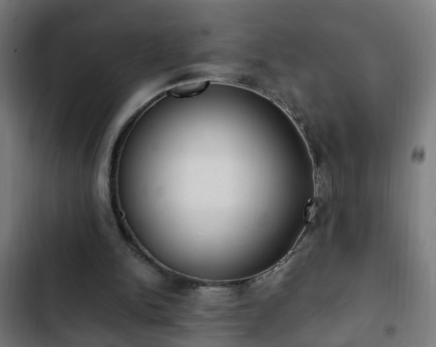 X0000103130150200808291323