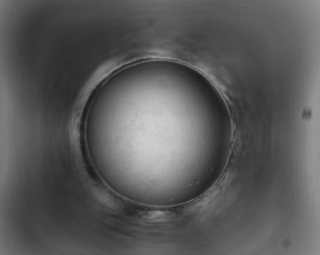 X0000103130151200808291323