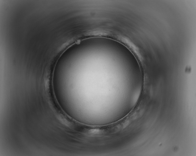 X0000103130153200808291323