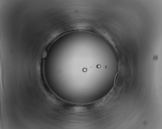 X0000103130154200808291323