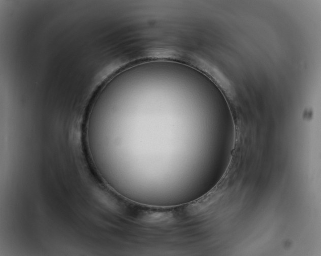 X0000103130155200808291323