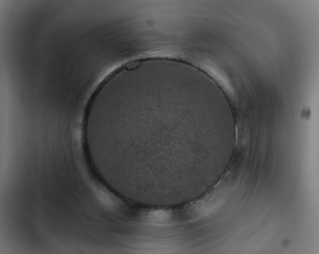X0000103130156200808291323