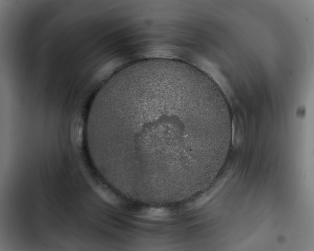 X0000103130157200808291323