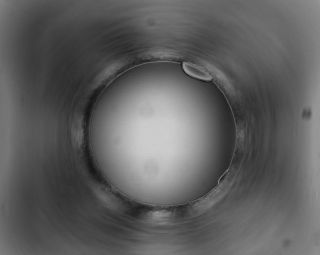 X0000103130158200808291323
