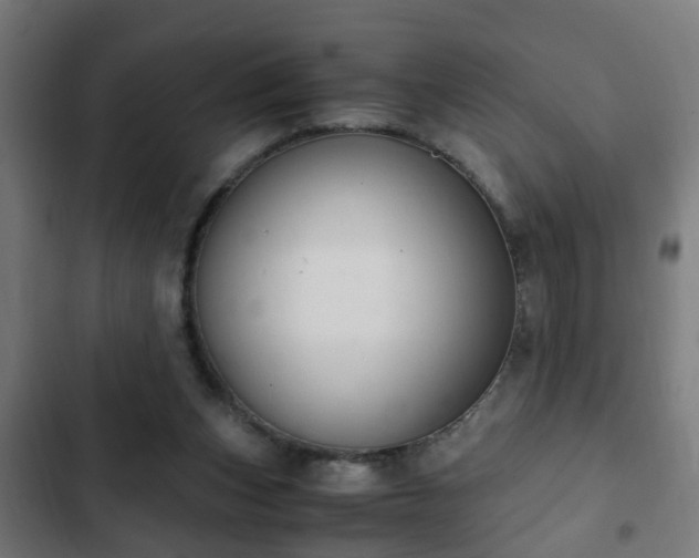 X0000103130159200808291323