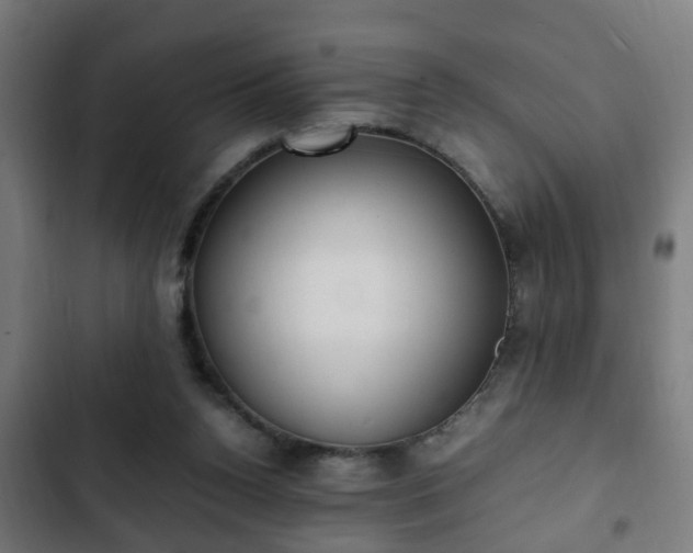 X0000103130160200808291323