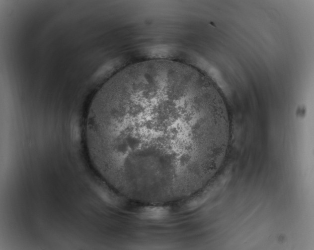 X0000103130161200808291323