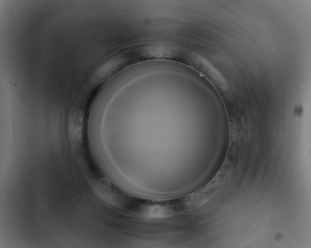X0000103130163200808291324