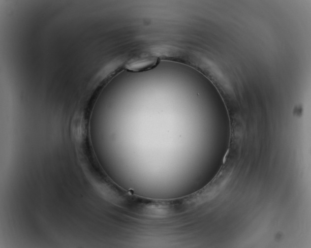 X0000103130164200808291324