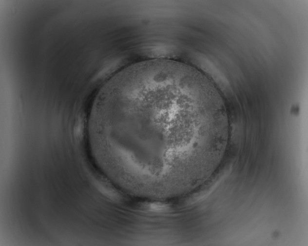 X0000103130165200808291324