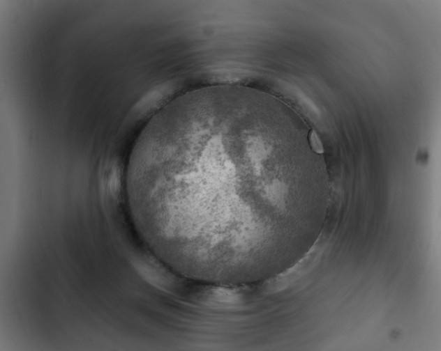 X0000103130166200808291324