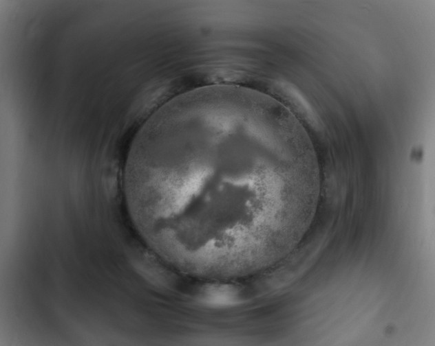 X0000103130169200808291324