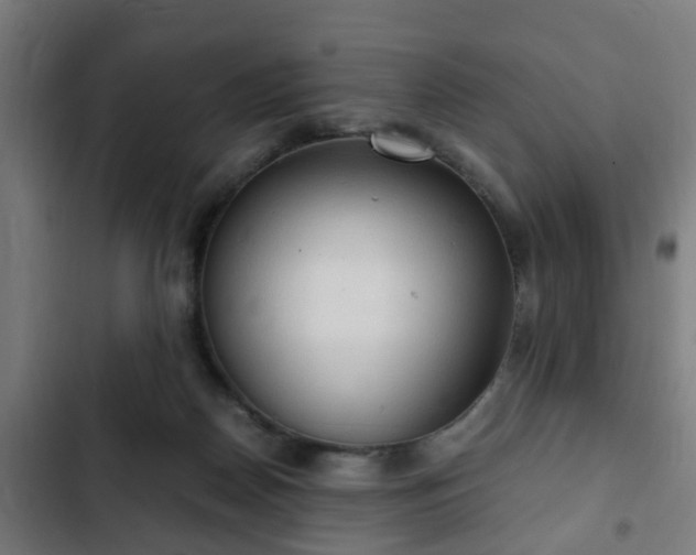 X0000103130170200808291324
