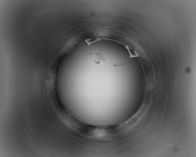 X0000103130171200808291324