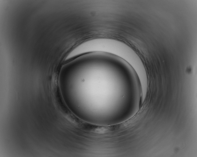 X0000103130172200808291324