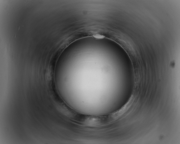 X0000103130174200808291324