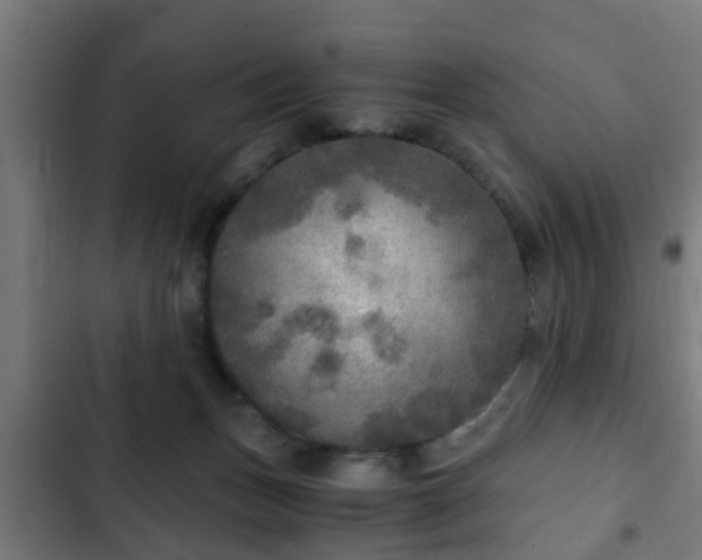 X0000103130175200808291324