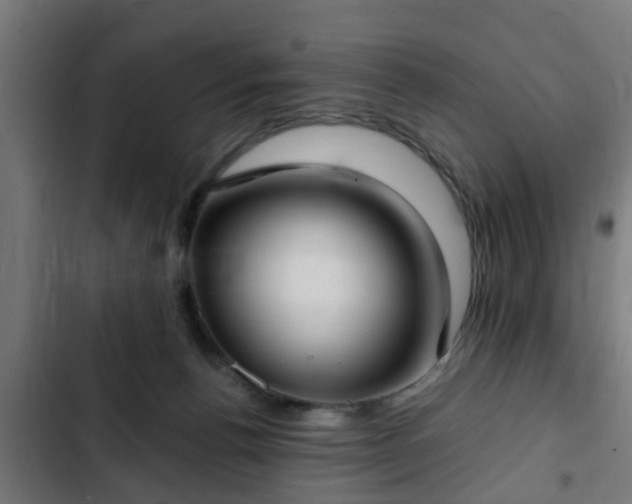 X0000103130176200808291324