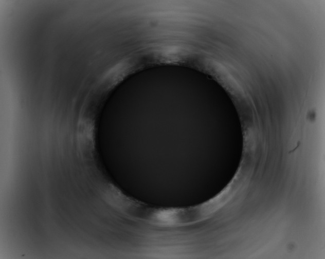 X0000103130178200808291324