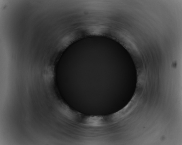 X0000103130179200808291324