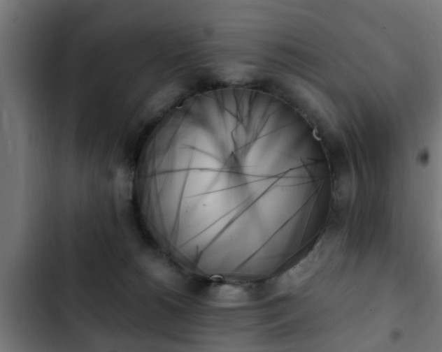 X0000103130180200808291324