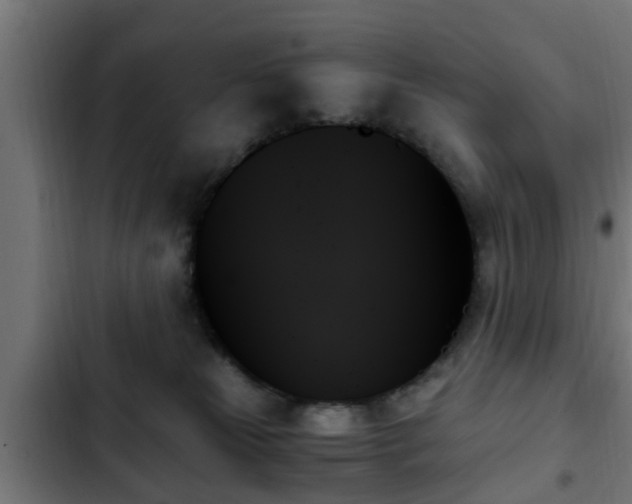 X0000103130181200808291324