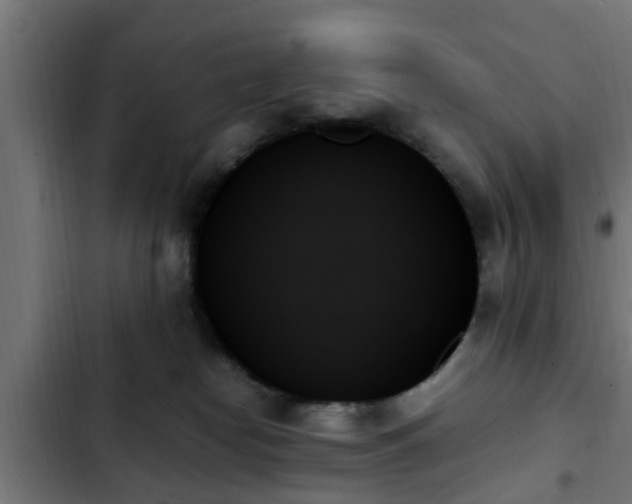 X0000103130182200808291324
