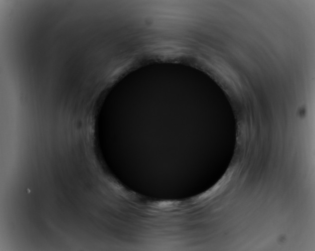 X0000103130184200808291324