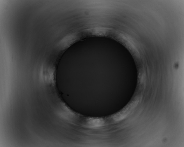 X0000103130185200808291324