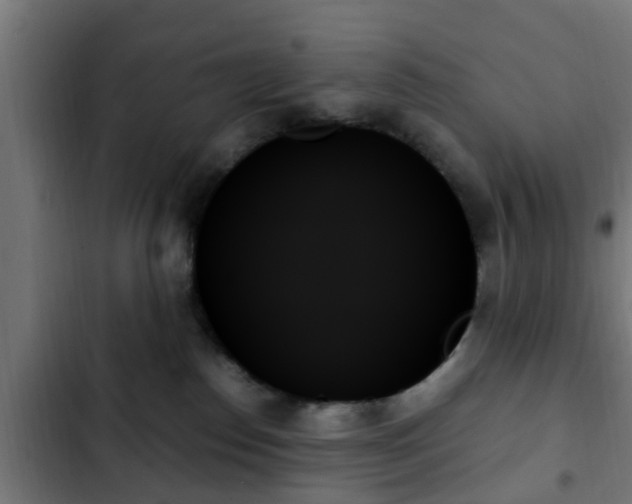X0000103130186200808291324