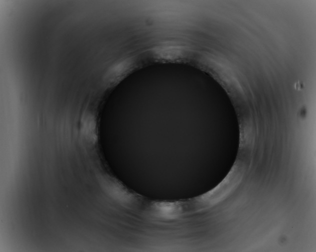 X0000103130187200808291324