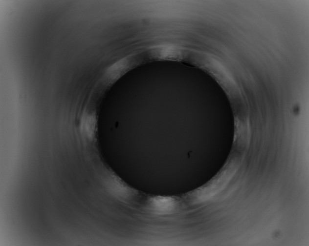 X0000103130189200808291324
