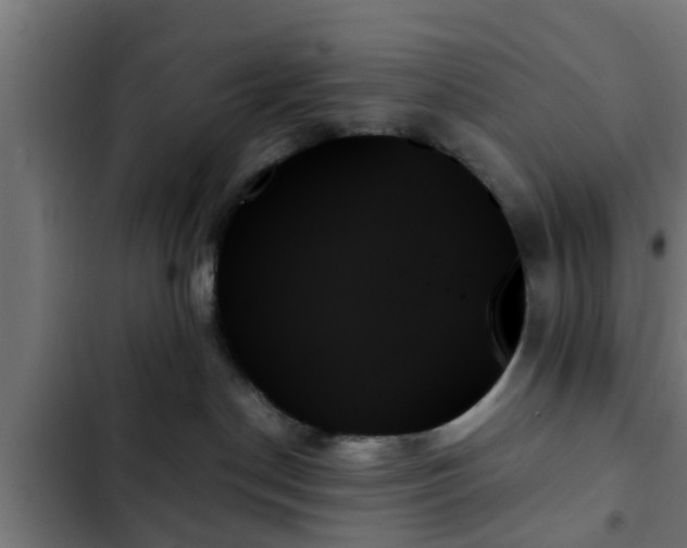 X0000103130190200808291324
