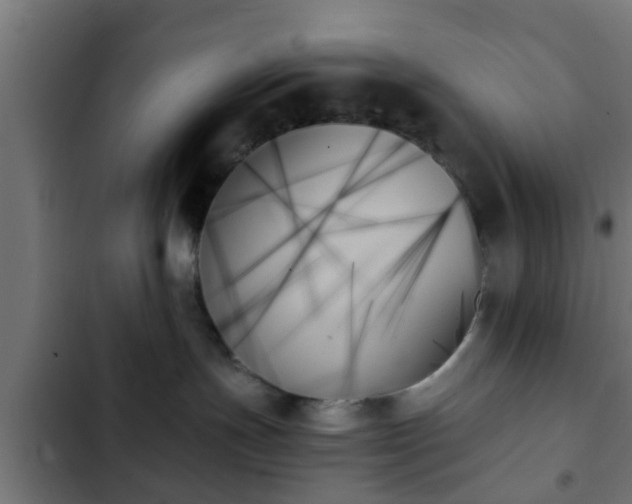 X0000103130191200808291324