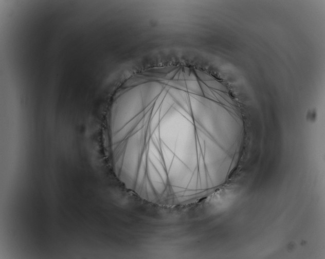 X0000103130192200808291324
