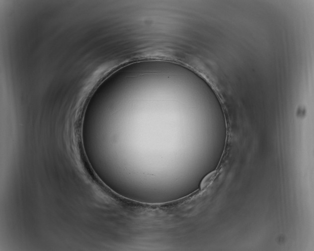 X0000103130193200808291323