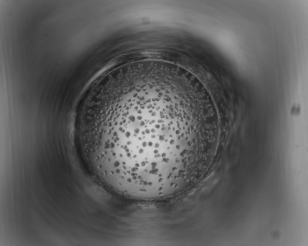 X0000103130194200808291323
