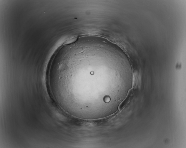 X0000103130195200808291323