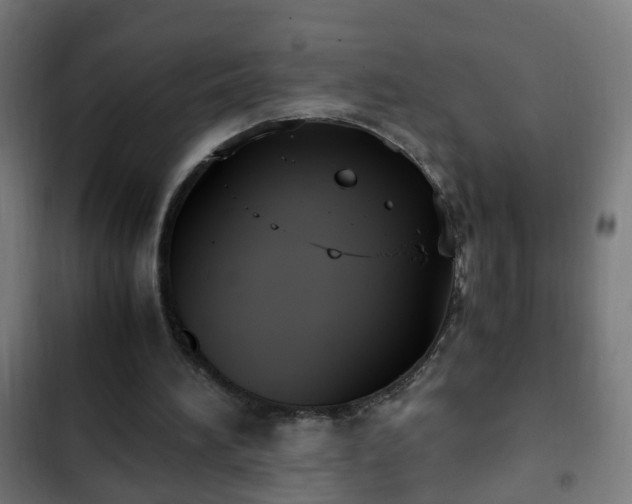 X0000103130196200808291323