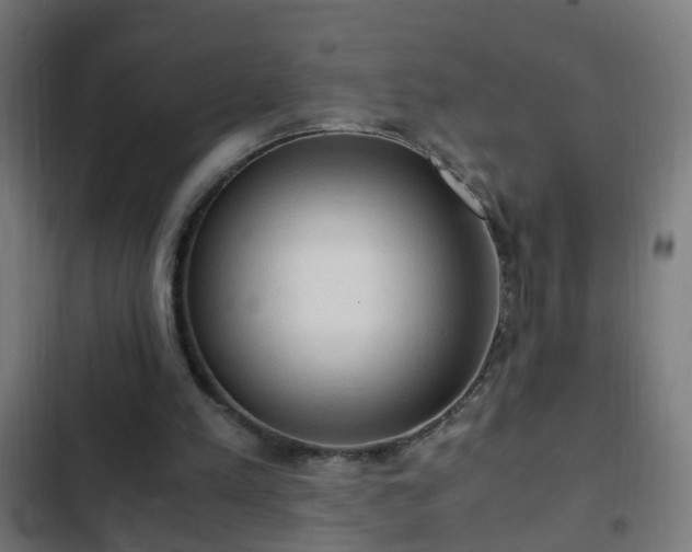 X0000103130197200808291323