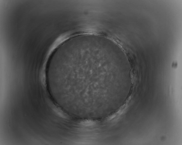 X0000103130198200808291323
