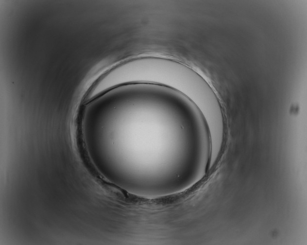 X0000103130199200808291323