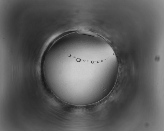 X0000103130200200808291323