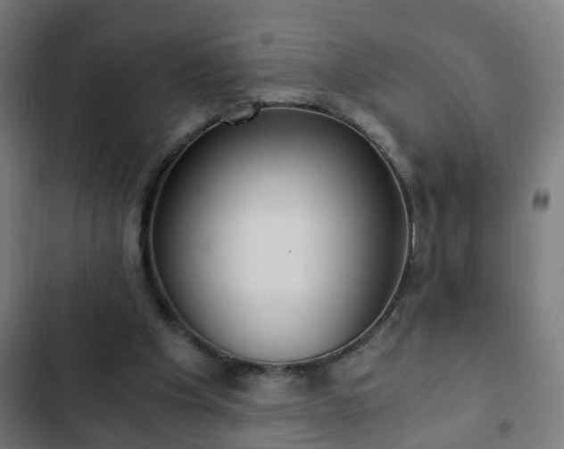 X0000103130201200808291323