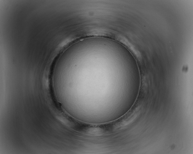 X0000103130203200808291323