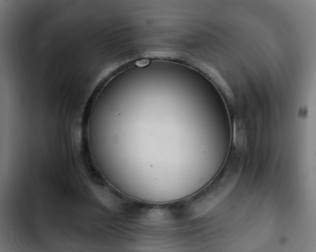 X0000103130204200808291323