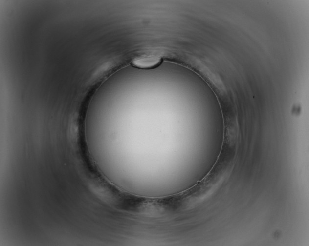 X0000103130207200808291323
